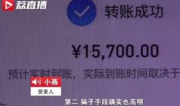江苏新闻爆料国学诈骗,国学诈骗风波，揭秘传统文化背后的陷阱