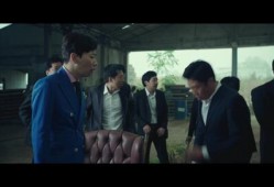 怪叔爆料喜子视频播放,喜子视频播放背后的惊人真相