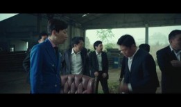 怪叔爆料喜子视频播放,喜子视频播放背后的惊人真相