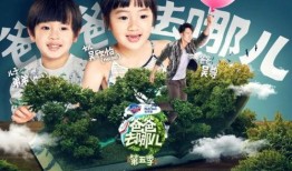 萌娃爆料爸爸合拍照片视频,爸爸合拍照片视频背后的温馨瞬间