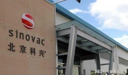 科兴中维最新爆料消息,揭秘疫苗研发背后的故事与挑战”
