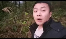 口播短视频爆料,口播爆料的背后故事