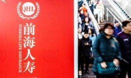 前海人寿爆料最新消息,揭秘行业内幕，行业巨变即将来临！”