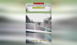 事故车现场爆料视频完整版,完整版爆料视频深度解析