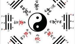 八卦爆料素材网站大全视频,热门视频素材一网打尽