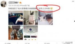 网红出轨吃瓜,吃瓜群众热议，真相究竟如何？