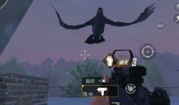 和平精英后续最新爆料,全新内容与玩法即将来袭！