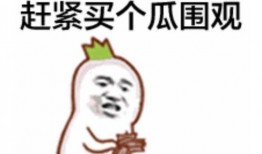 爆料吃瓜群众视频大全,一场全民参与的娱乐盛宴