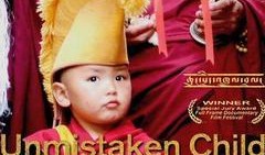 小活佛 在线观看,探寻神秘佛国，揭秘神秘传说