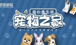 爆料科普宠物视频大全