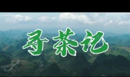 中国茶叶爆料视频大全,视频大全带你领略茶香四溢