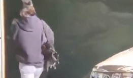 王一博衣服爆料视频,揭秘爆款衣服背后的秘密