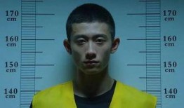 余罪23集在线观看,揭秘卧底身份，危机四伏的生死较量