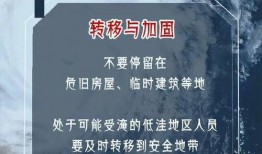 最新台风爆料消息新闻内容,揭秘即将来袭的超级风暴路径与影响