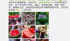 爆料大瓜椰视频模板,一场视觉盛宴的幕后故事