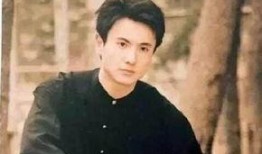 杨洋爆料娱乐圈视频大全,独家爆料视频大合集