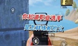练枪爆料宠儿视频在线观看,揭秘热门视频背后的精彩瞬间