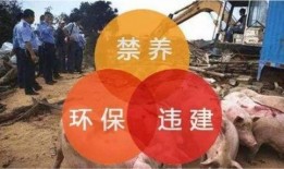 养殖禁养最新爆料,养殖禁养政策调整，行业变革在即