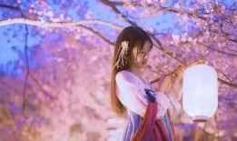 樱花千代王爆料视频,揭秘神秘视频背后的惊人真相