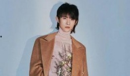 圈内爆料范冰冰黄明昊,揭秘娱乐圈背后的故事