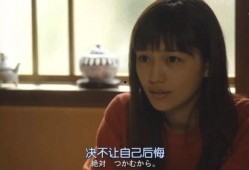 爆料北漂米兜爸妈视频,真实生活背后的辛酸与坚持