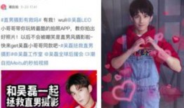 娱乐每日爆料吴磊微博,娱乐每日爆料，揭秘明星幕后故事