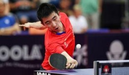 马特乒乓爆料视频大全,揭秘乒乓球界的精彩瞬间与幕后故事