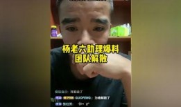 爆料老六视频大全下载免费,免费下载海量精彩内容