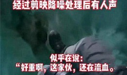 女士内鬼爆料事件视频,女士内鬼爆料事件视频深度解析