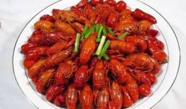 骚年龙虾爆料视频大全集,视频大全集深度解析