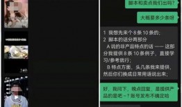 爆料短视频素材电影,爆款素材背后的故事