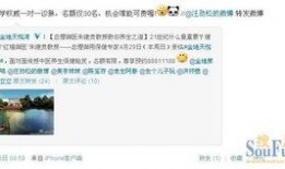 恬悦微博爆料事件视频,揭秘背后真相与争议