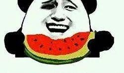 吃瓜群众全集免费