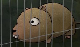 吃瓜动画合集视频大全免费观看,吃瓜动画合集，笑料横生，欢乐无限