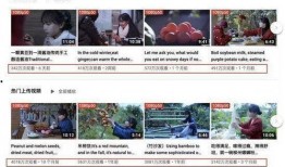 爆料网红真假视频下载,下载背后的真相与争议