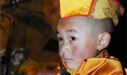 小活佛 在线观看,探寻神秘佛国，揭秘神秘传说