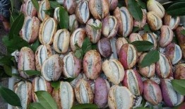 凯里网红吃八月瓜的店,凯里特色美食——八月瓜吃法大揭秘