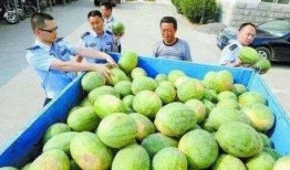 阳江网红吃瓜群微信号,揭秘网络红人的幕后故事