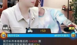泰安胖哥爆料视频大全播放,揭秘幕后真相，带你领略网络风云