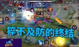 小潮王者爆料视频大全,揭秘电竞圈幕后故事