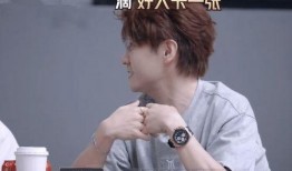 张远爆料陆虎视频播放大全,全面回顾事件始末