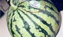 大合集网红吃瓜,揭秘娱乐圈幕后真相