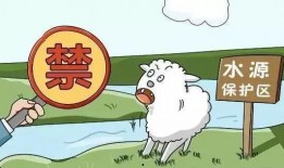 养殖禁养最新爆料,养殖禁养政策调整，行业变革在即