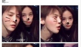 快手最新爆料事件视频,事件视频揭秘，真相究竟如何？