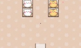 小椰子爆料视频全集下载,揭秘幕后真相与精彩瞬间