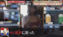 日本免费毛片在线观看,揭秘网络色情内容的灰色地带