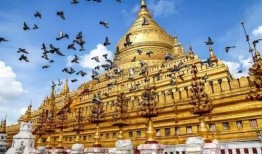 缅甸仰光卫视爆料新闻,缅甸最新热点新闻回顾