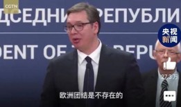 外媒爆料武契奇视频,外媒揭秘塞尔维亚总统真实一面