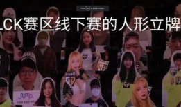 lpl赛区最新爆料视频,揭秘战队幕后故事与精彩瞬间