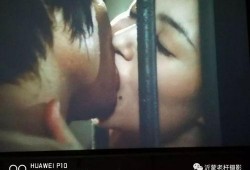 日本免费毛片在线观看,揭秘网络色情内容的灰色地带